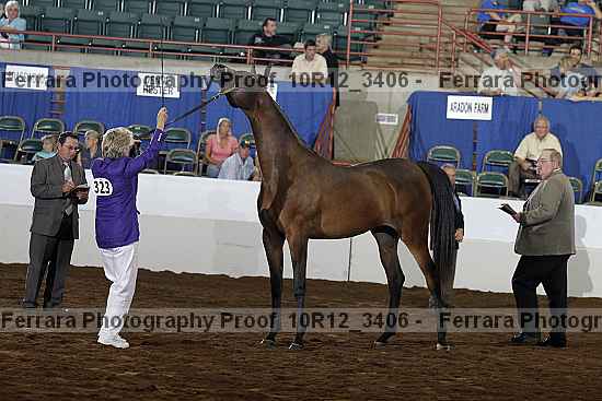 Proof 10r12_3406