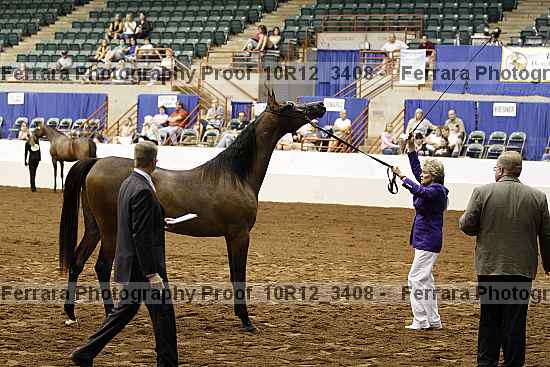 Proof 10r12_3408