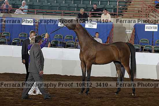 Proof 10r12_3410