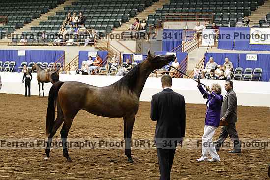 Proof 10r12_3411