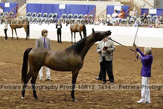Proof 10r12_3414