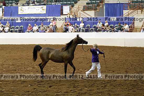 Proof 10r12_3415