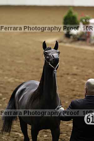 Proof 10r12_3416