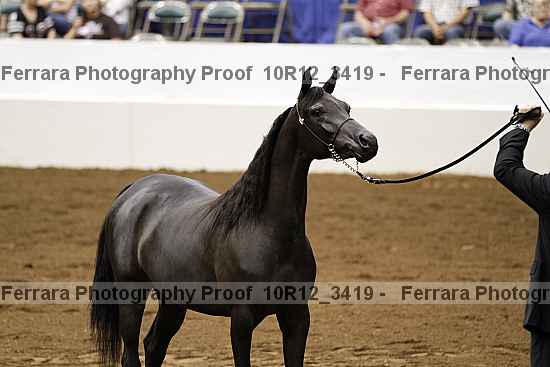 Proof 10r12_3419