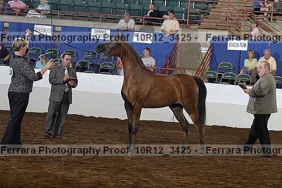 Proof 10r12_3425
