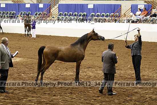 Proof 10r12_3427