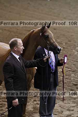 Proof 10r12_3439