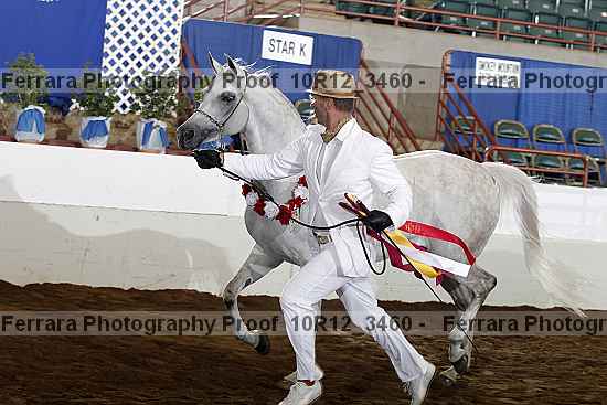 Proof 10r12_3460