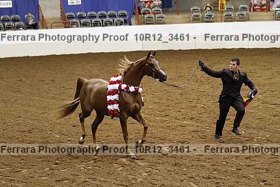 Proof 10r12_3461