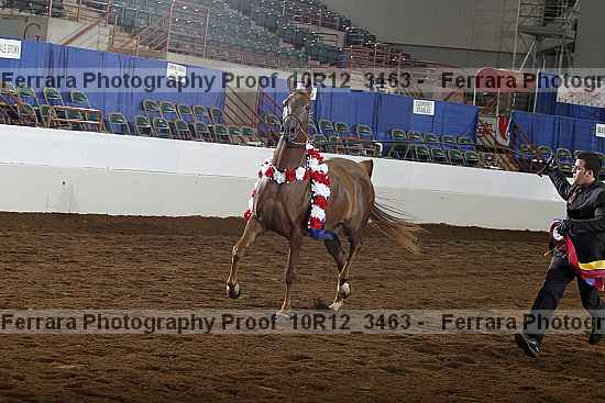 Proof 10r12_3463