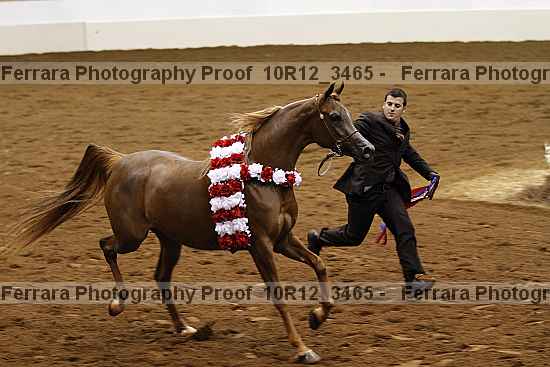 Proof 10r12_3465