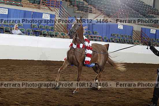 Proof 10r12_3466