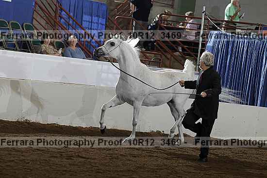 Proof 10r12_3469