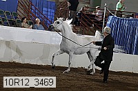 10r12_3469 proof