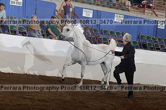 Proof 10r12_3470