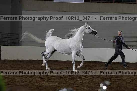 Proof 10r12_3471