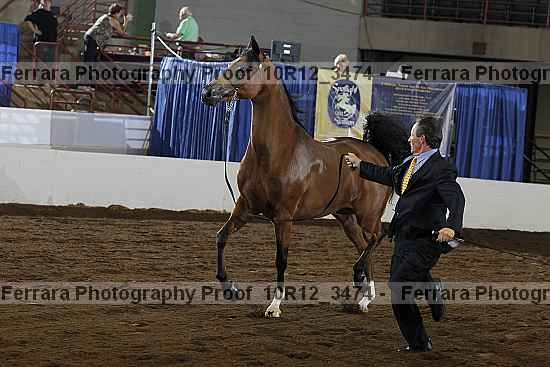 Proof 10r12_3474