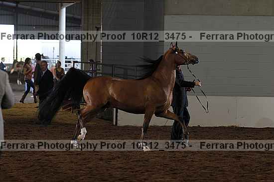 Proof 10r12_3475