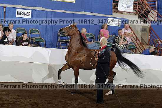Proof 10r12_3476