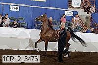10r12_3476 proof
