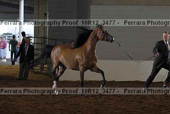 Proof 10r12_3477