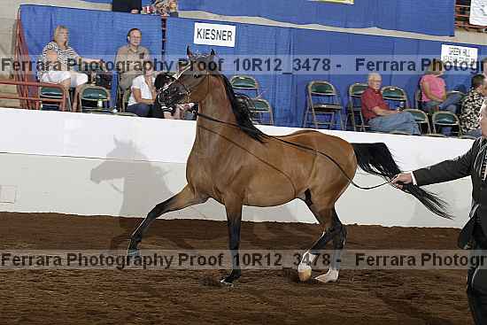 Proof 10r12_3478