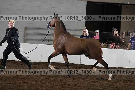 Proof 10r12_3480