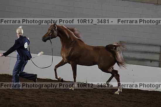 Proof 10r12_3481