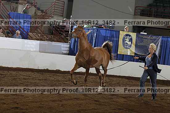 Proof 10r12_3482