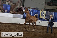 10r12_3482 proof