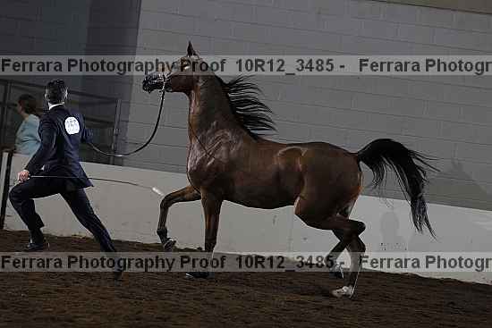 Proof 10r12_3485