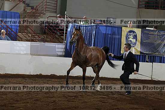 Proof 10r12_3486