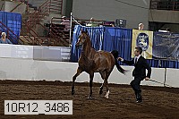 10r12_3486 proof