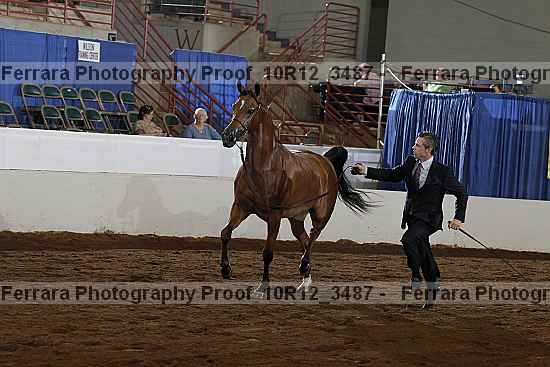 Proof 10r12_3487