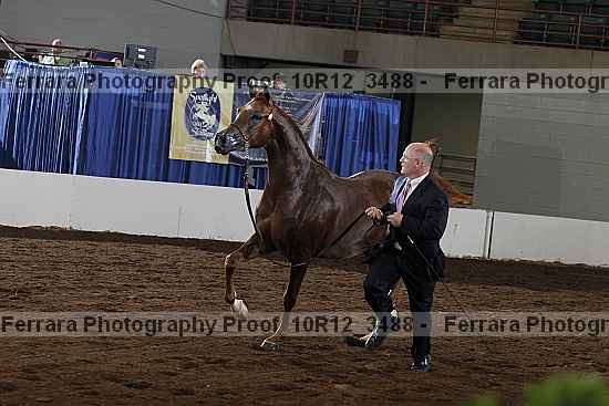 Proof 10r12_3488