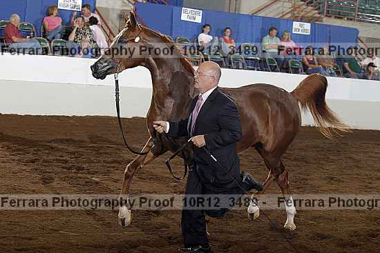 Proof 10r12_3489