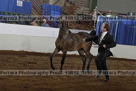 Proof 10r12_3490