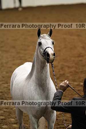 Proof 10r12_3498
