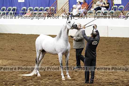 Proof 10r12_3501