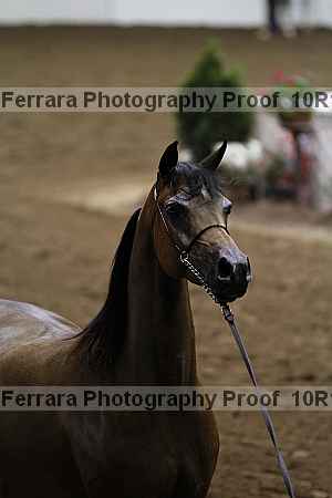 Proof 10r12_3507