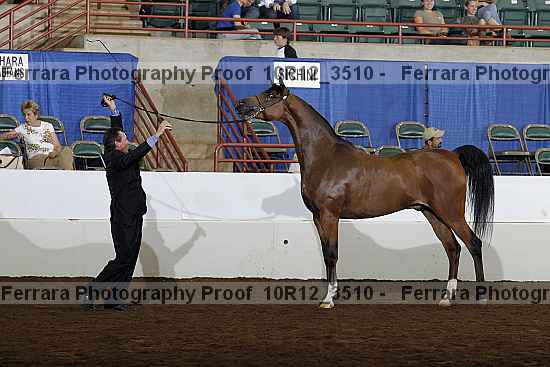 Proof 10r12_3510