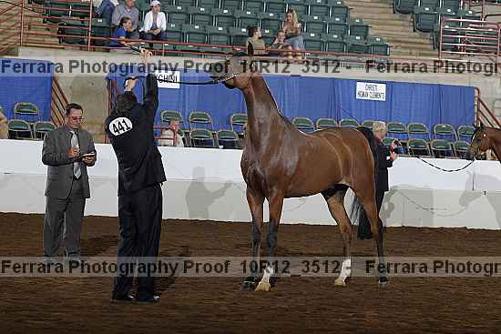 Proof 10r12_3512