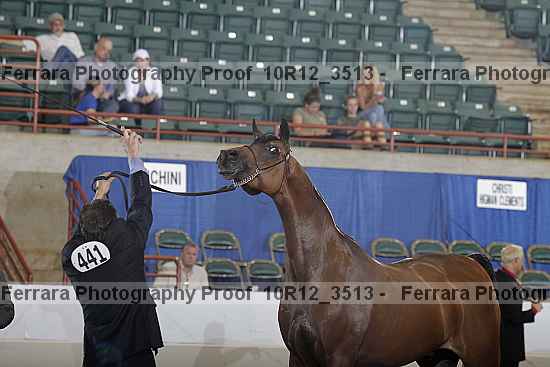 Proof 10r12_3513