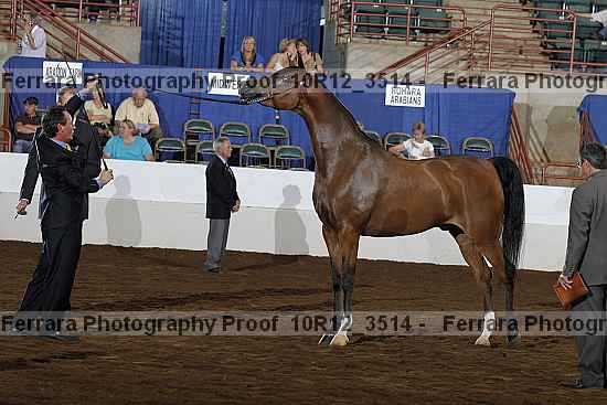 Proof 10r12_3514