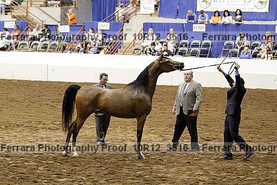 Proof 10r12_3516