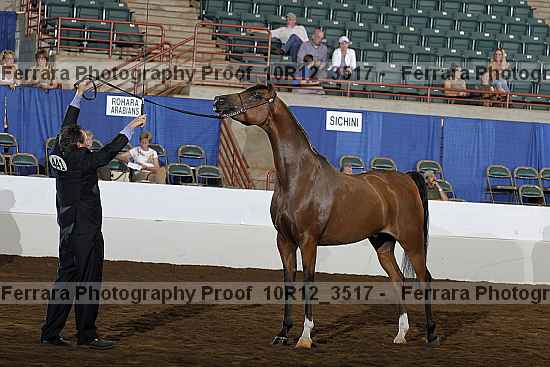 Proof 10r12_3517