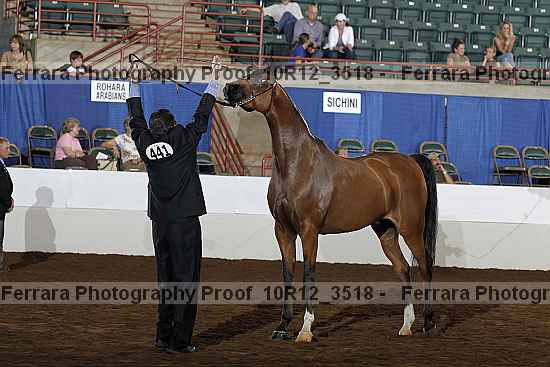 Proof 10r12_3518