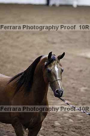 Proof 10r12_3519