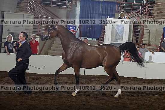 Proof 10r12_3520