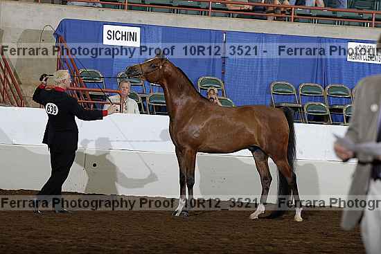 Proof 10r12_3521